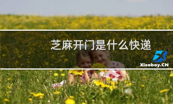 芝麻开门是什么快递