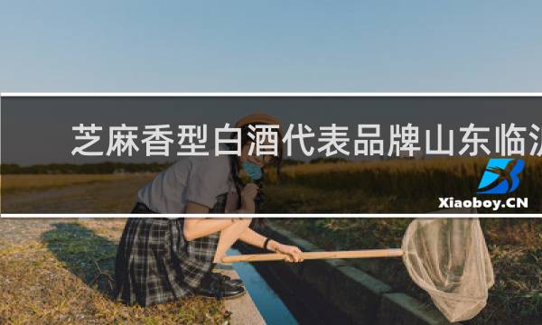 芝麻香型白酒代表品牌山东临沂