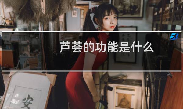 芦荟的功能是什么