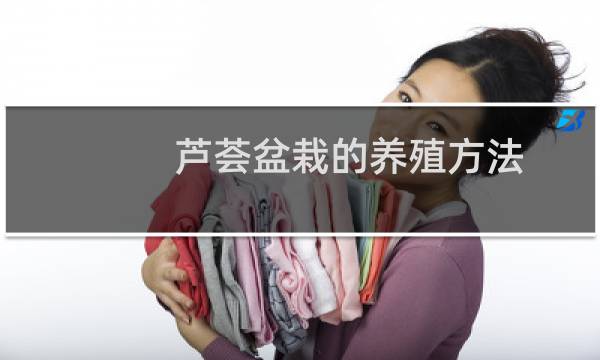 芦荟盆栽的养殖方法