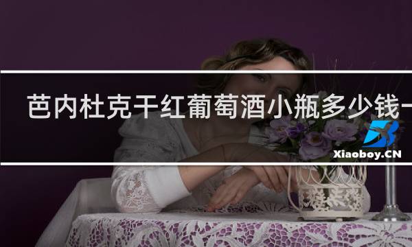 芭内杜克干红葡萄酒小瓶多少钱一瓶