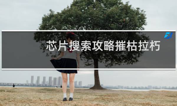 芯片搜索攻略摧枯拉朽
