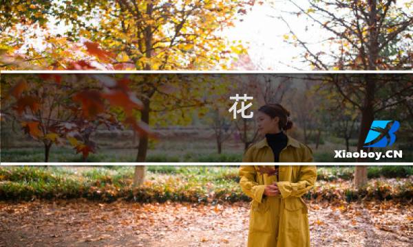 花 攻略