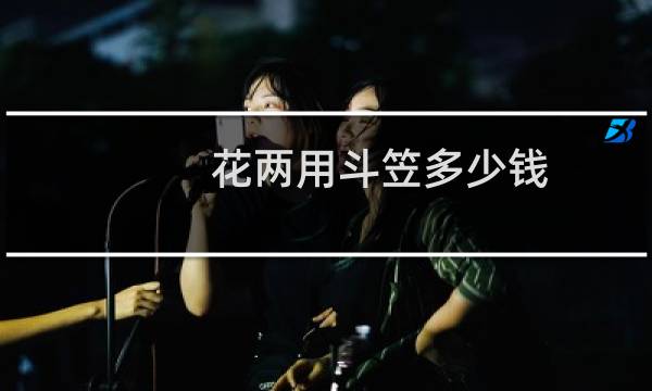 花两用斗笠多少钱