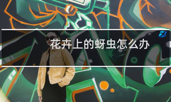 花卉上的蚜虫怎么办