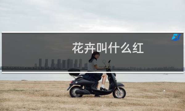 花卉叫什么红