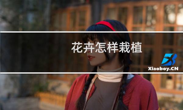 花卉怎样栽植