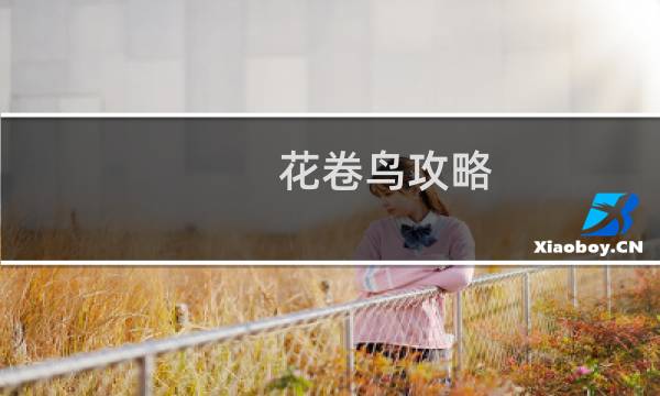 花卷鸟攻略