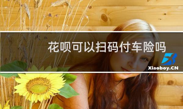 花呗可以扫码付车险吗