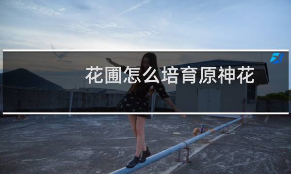 花圃怎么培育原神花