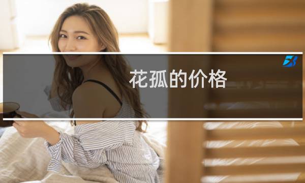 花孤的价格