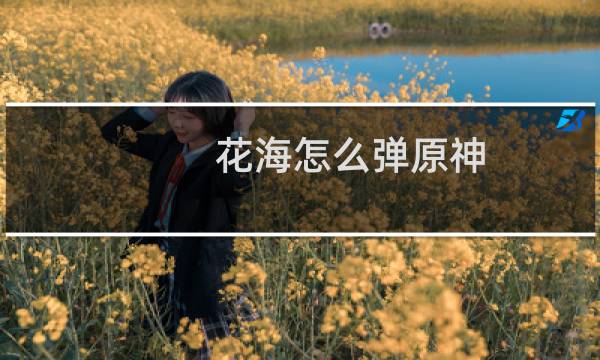 花海怎么弹原神