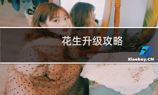 花生升级攻略