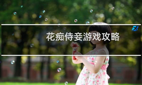 花痴侍妾游戏攻略