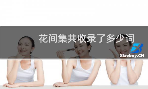 花间集共收录了多少词