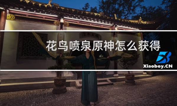 花鸟喷泉原神怎么获得