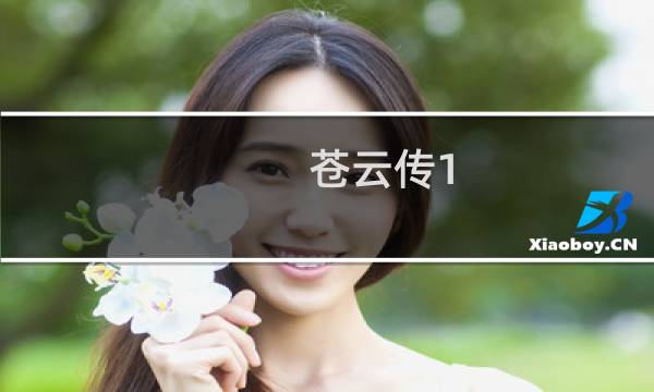 苍云传1.4攻略