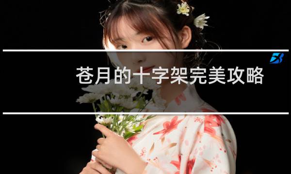 苍月的十字架完美攻略