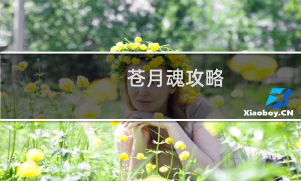 苍月魂攻略