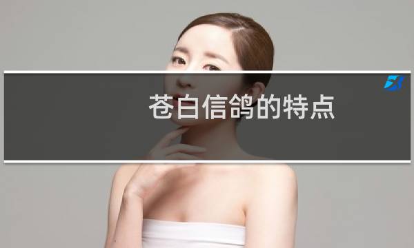 苍白信鸽的特点