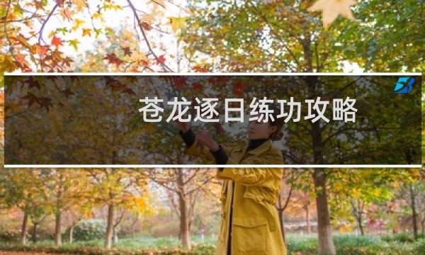 苍龙逐日练功攻略