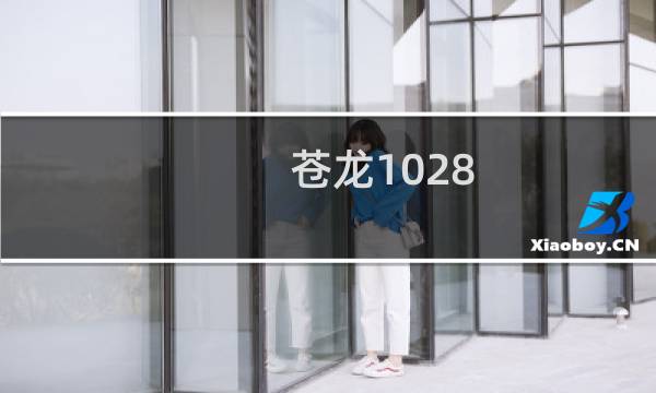 苍龙1028 攻略