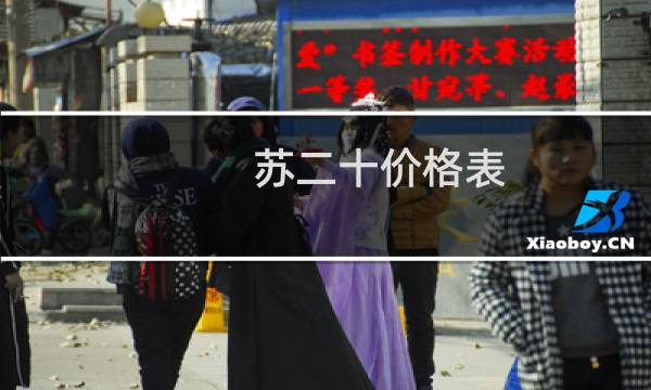 苏二十价格表