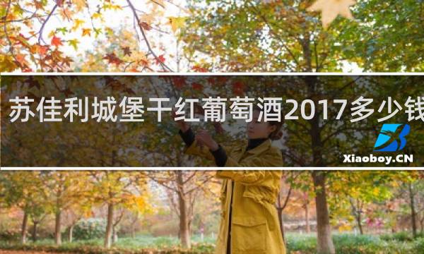苏佳利城堡干红葡萄酒2017多少钱一瓶