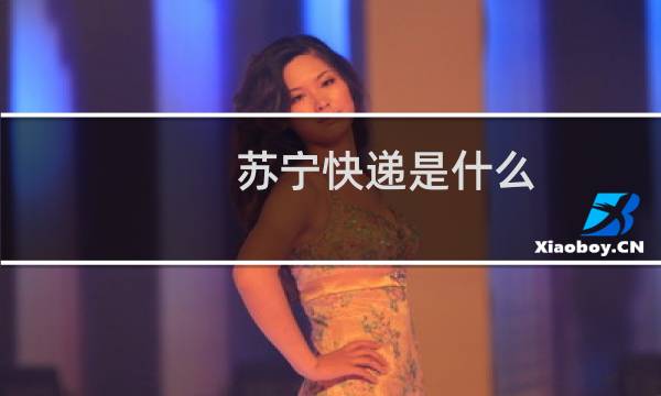苏宁快递是什么