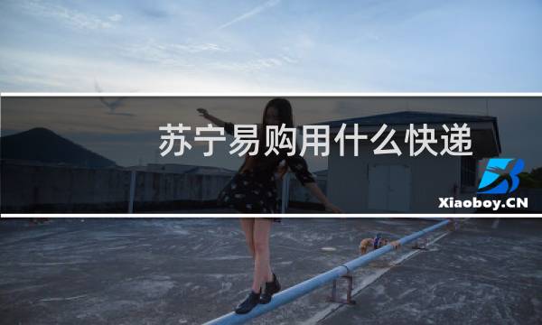 苏宁易购用什么快递