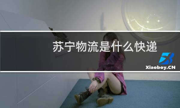 苏宁物流是什么快递