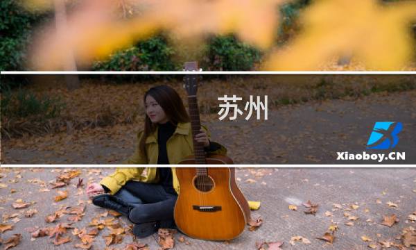 苏州 人工智能