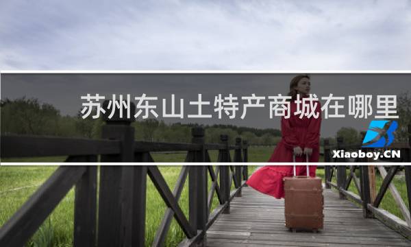 苏州东山土特产商城在哪里