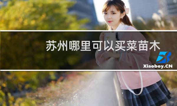 苏州哪里可以买菜苗木