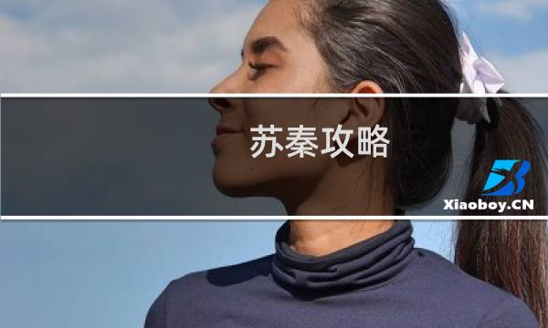 苏秦攻略