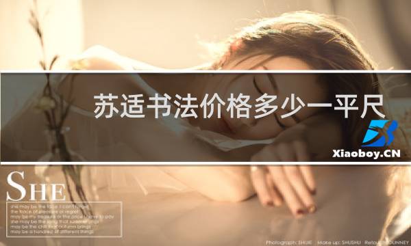 苏适书法价格多少一平尺