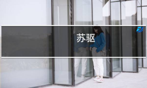 苏驱 攻略