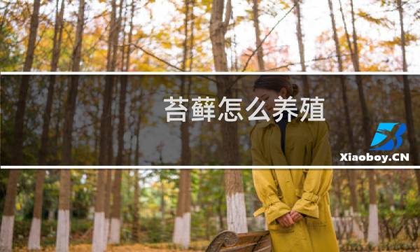 苔藓怎么养殖