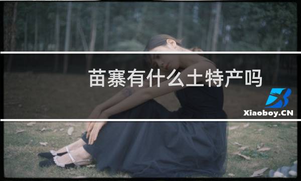 苗寨有什么土特产吗