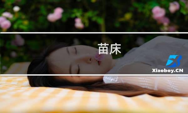 苗床   攻略
