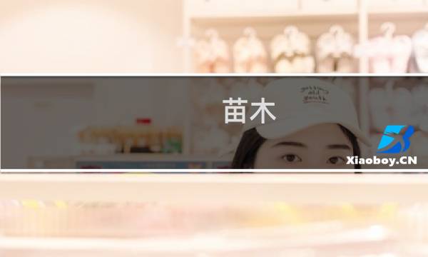 苗木 广东最贵
