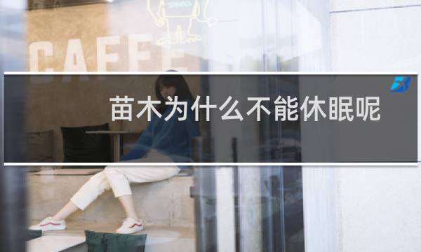 苗木为什么不能休眠呢