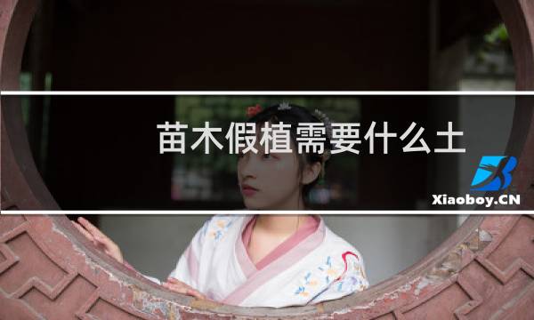 苗木假植需要什么土