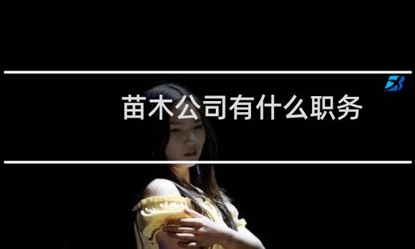 苗木公司有什么职务