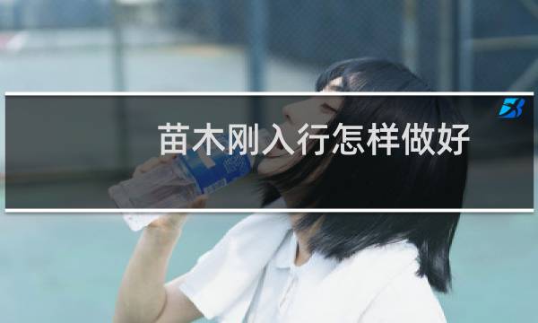 苗木刚入行怎样做好