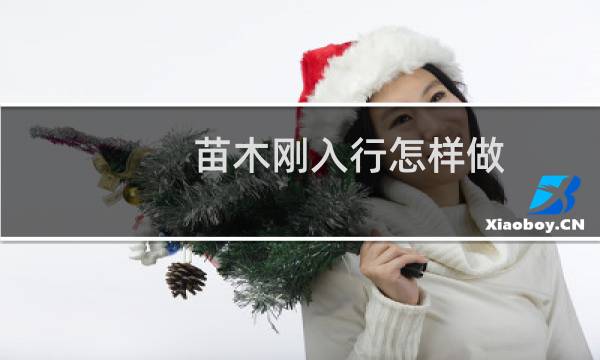 苗木刚入行怎样做