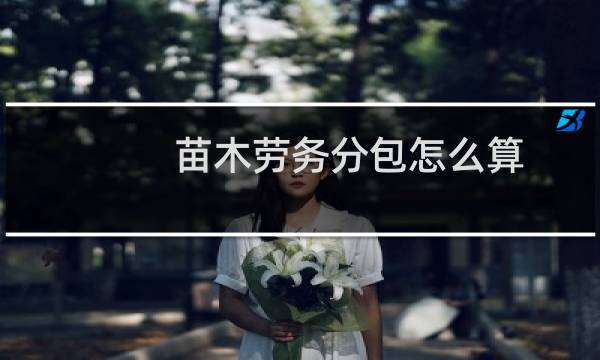 苗木劳务分包怎么算