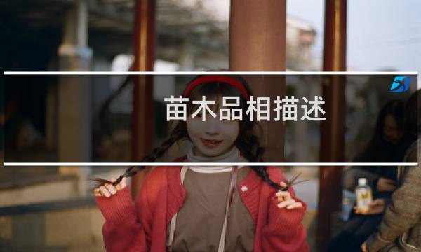 苗木品相描述