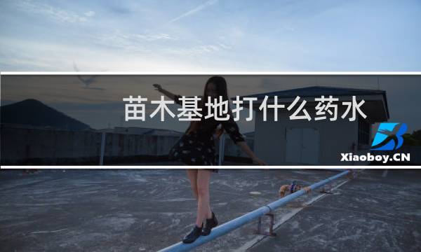苗木基地打什么药水