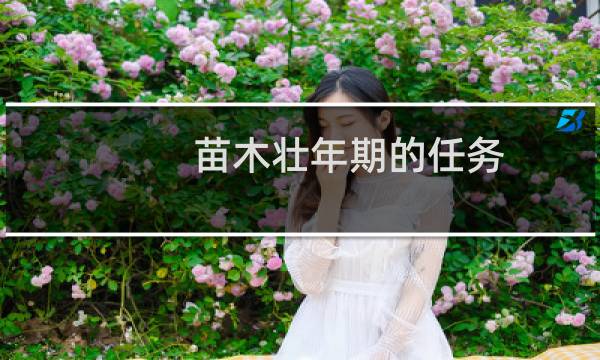 苗木壮年期的任务